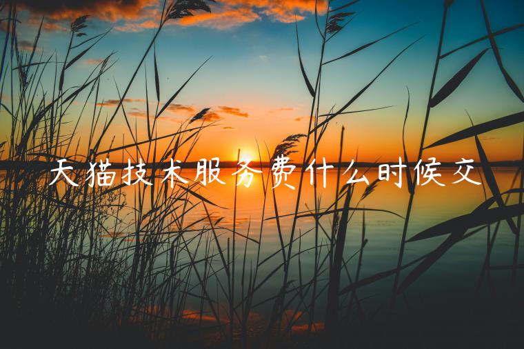 天貓技術(shù)服務(wù)費(fèi)什么時(shí)候交